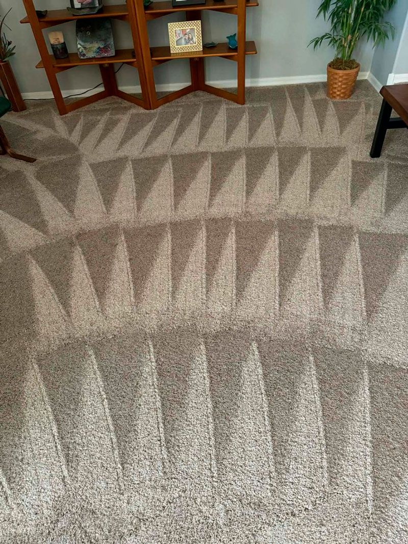 Fresh Carpet Vacuum
